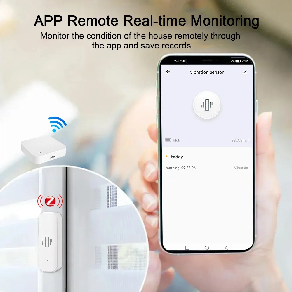 Tuya WiFi/Zigbee Smart Vibrati - огляд і ціна Home Security App