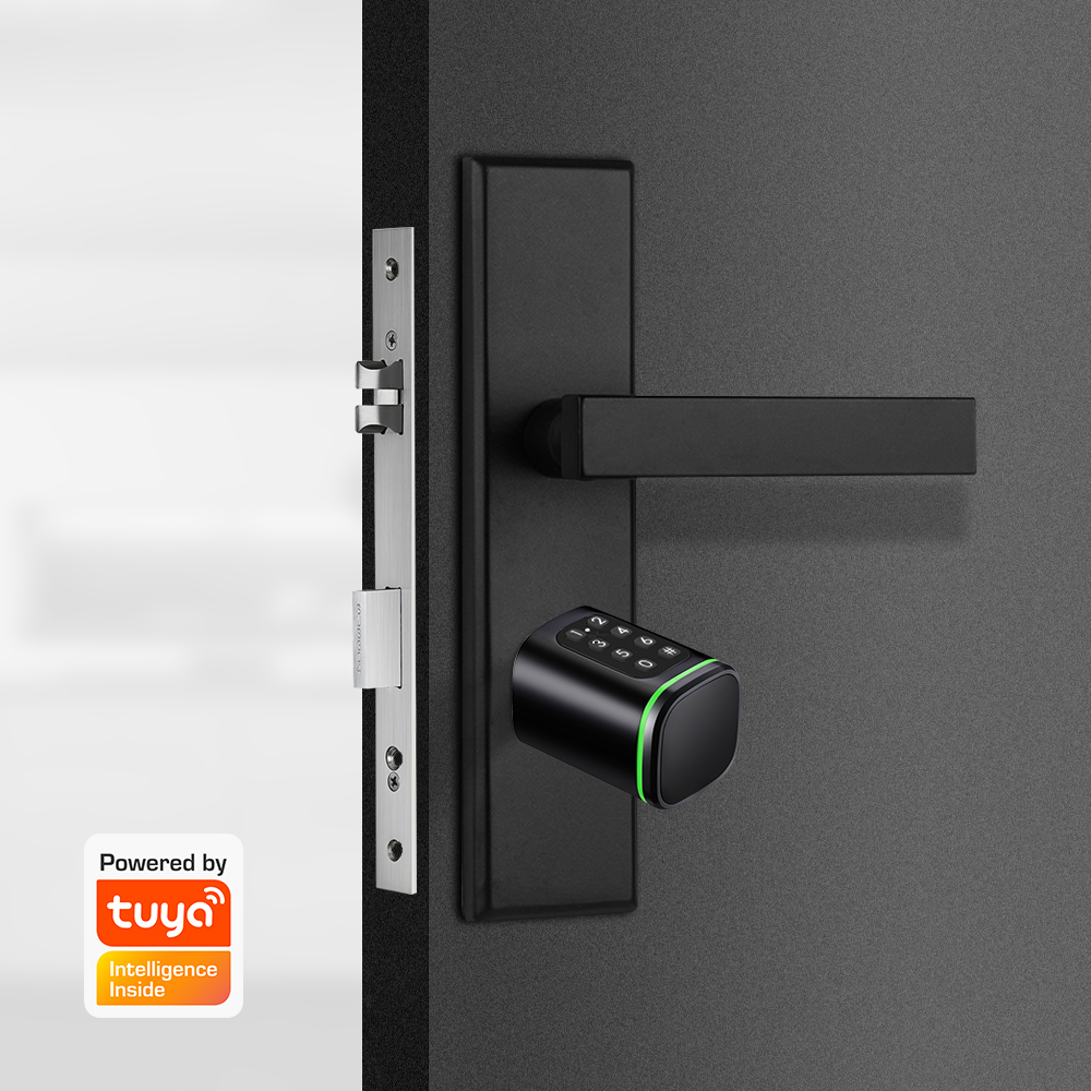 Smart Cylinder Lock Tuya 60-90 - огляд і ціна Home Security Packages